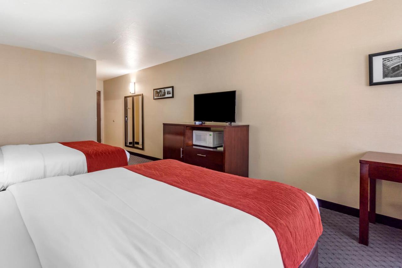 Comfort Inn Kent - Seattle Ngoại thất bức ảnh